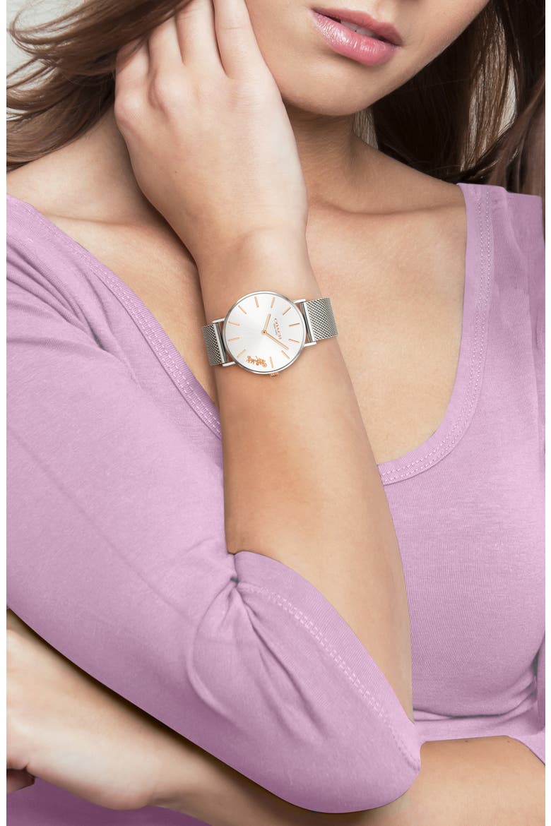 Perry Mesh Strap Watch, 36mm, Alternate, color, SILVER