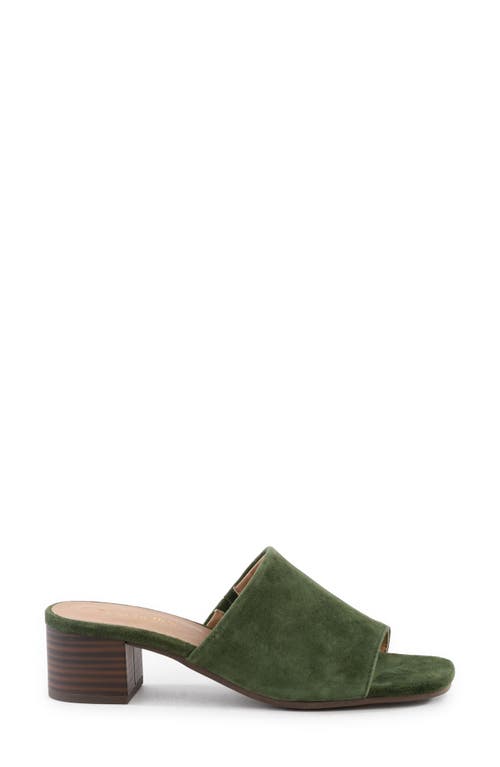 Seychelles Pepper Slide Sandal In Green