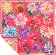 Echo Dahlias In Bloom