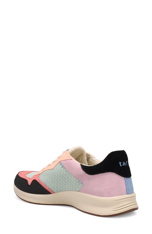 Taos Detour Sneaker In Multi