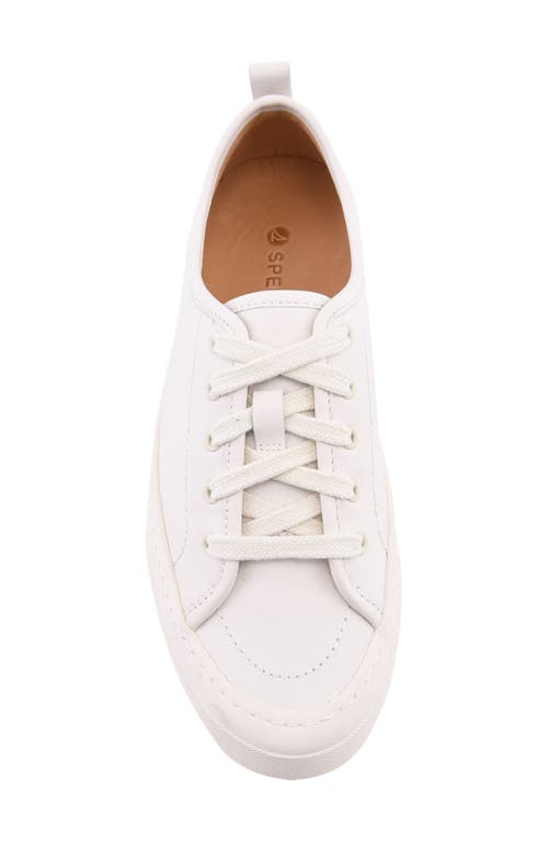 Sperry Top-sider® Sperry Candy Low Top Sneaker In Egret