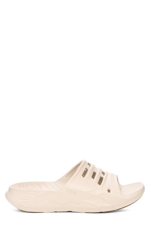 Teva Apretrail Slide Sandal In Birch
