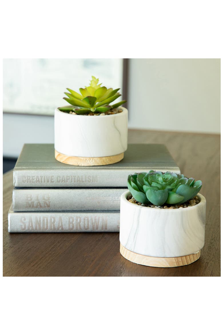 Marble Artificial Succulent - Set of 2, Alternate, color, WHITE