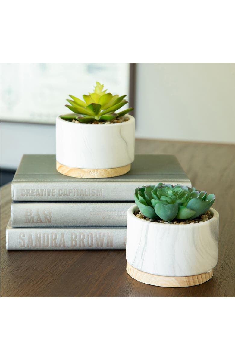 FLORA BUNDA Marble Artificial Succulent - Set of 2, Alternate, color, White