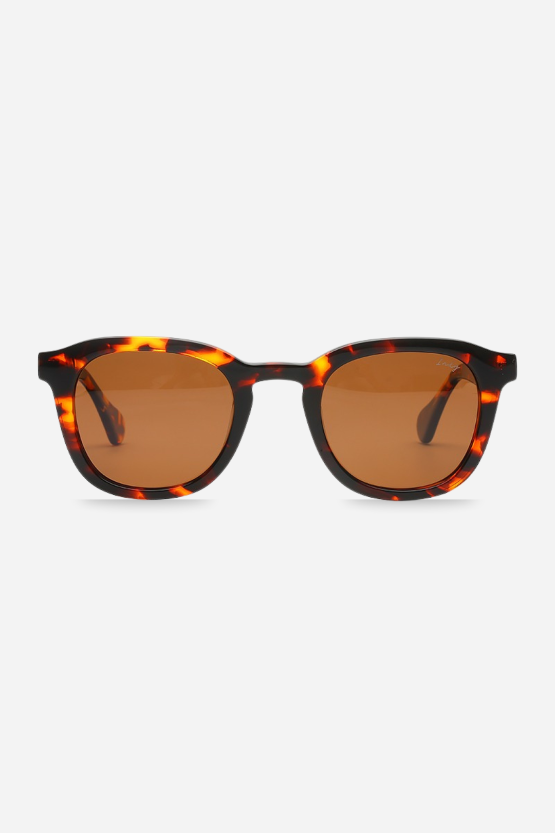 INDY JB Round Polarized Sunglasses in Tortoise Shell 
