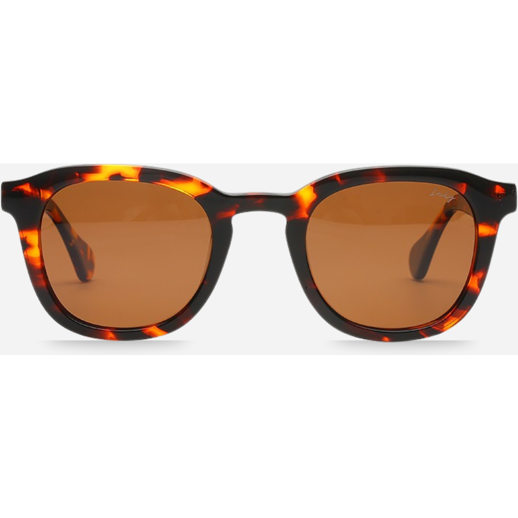 Indy Jb Round Polarized Sunglasses In Orange