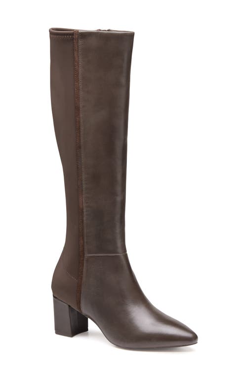 Johnston & Murphy Vicki Knee High Boot In Brown