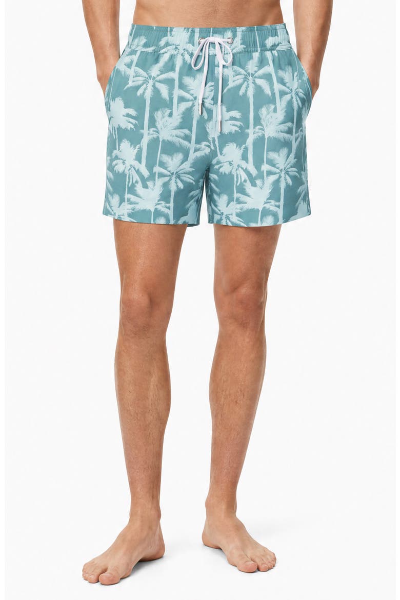 Stretch Volley Swim Trunks, Alternate, color, IVY MULTI