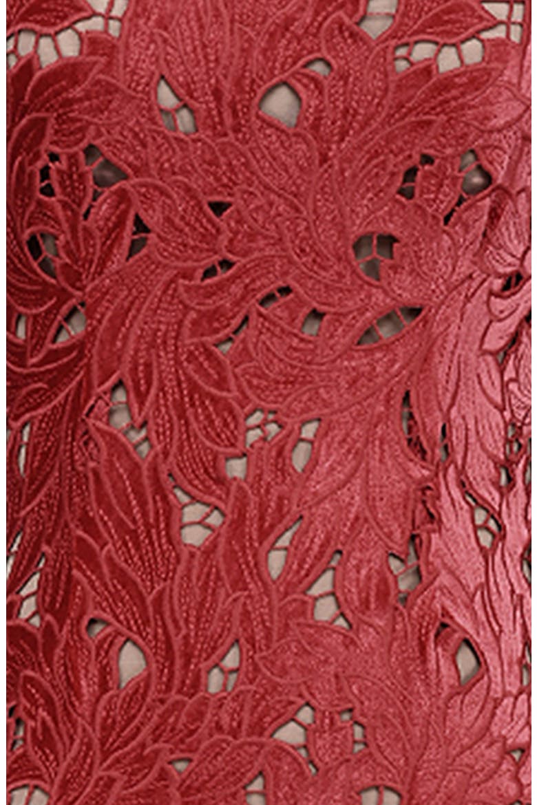 Tiff Velvet Lace Dress, Alternate, color, HAUTED RED