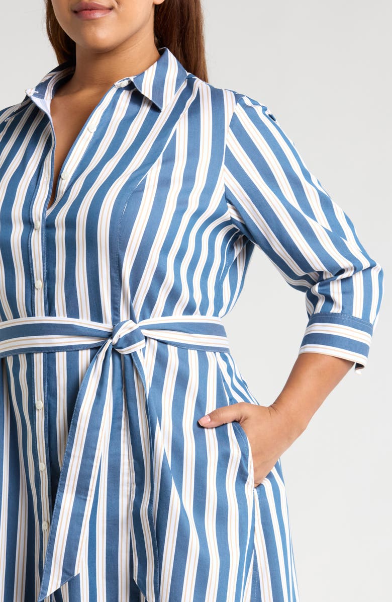 Foxcroft Fiona Stripe Belted Shirtdress, Alternate, color, 