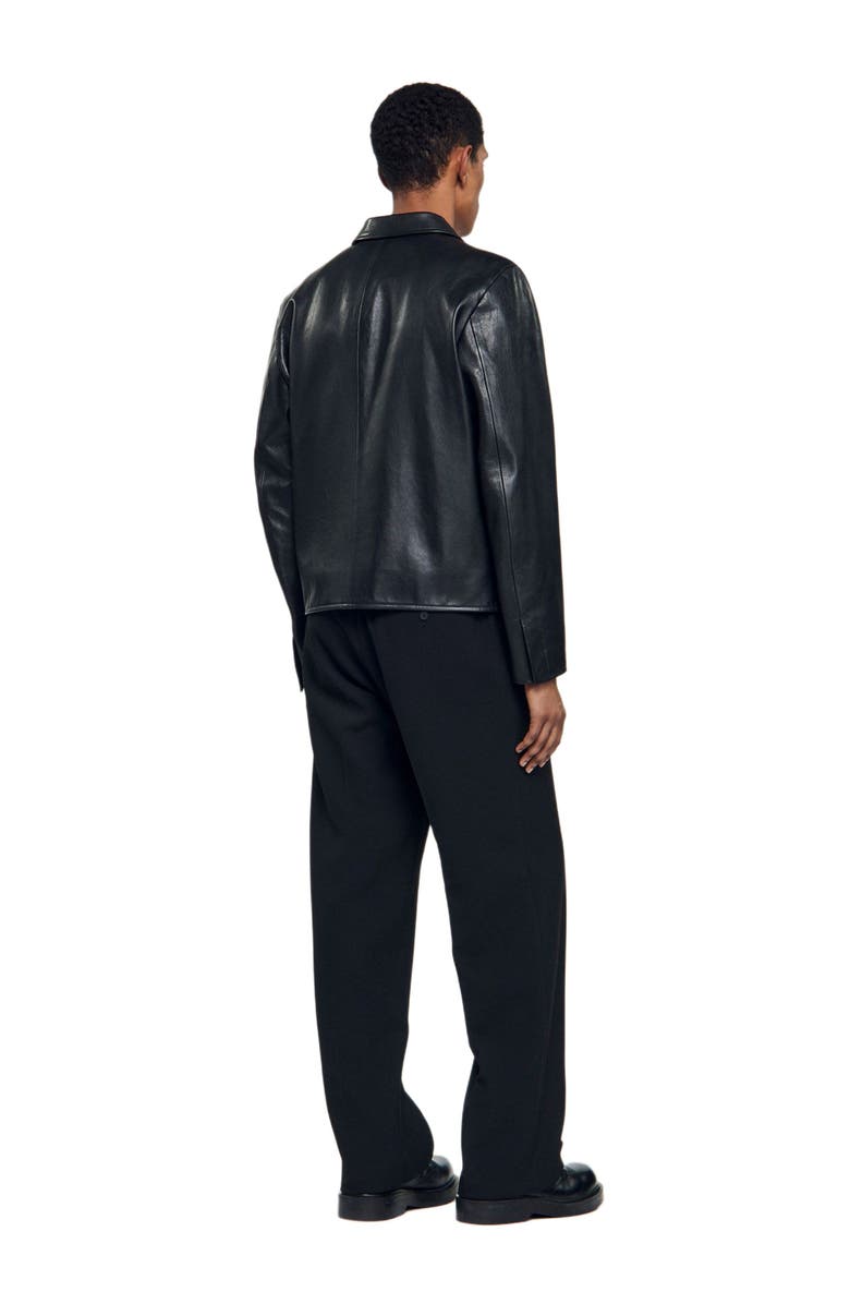 SANDRO Zip-up leather jacket, Alternate, color, 