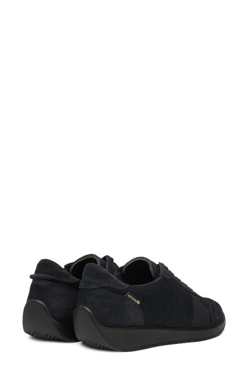 Ara Lila 2 Sneaker In Blue