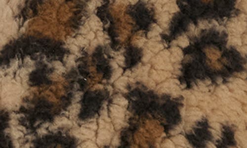 Levi's Women's Regular Stand Collar Sherpa Teddy Jacket In Brown