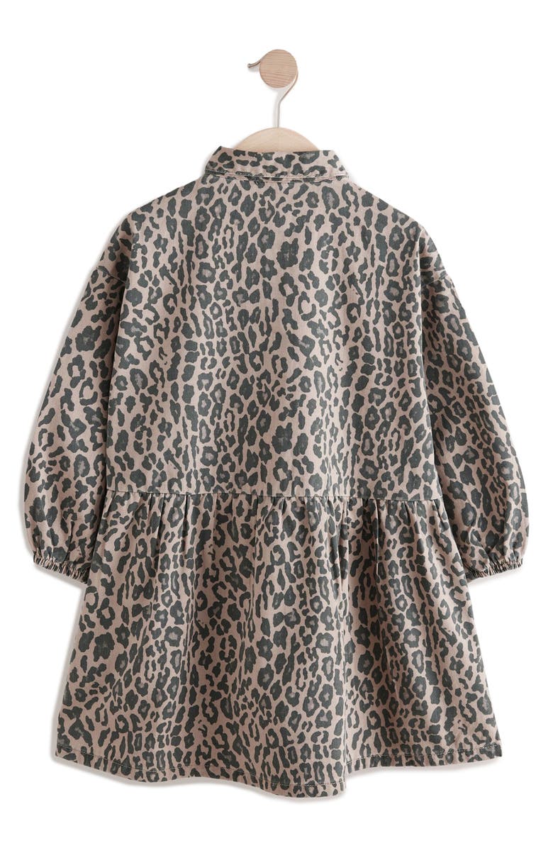 NEXT Kids' Leopard Shirtdress, Alternate, color, 