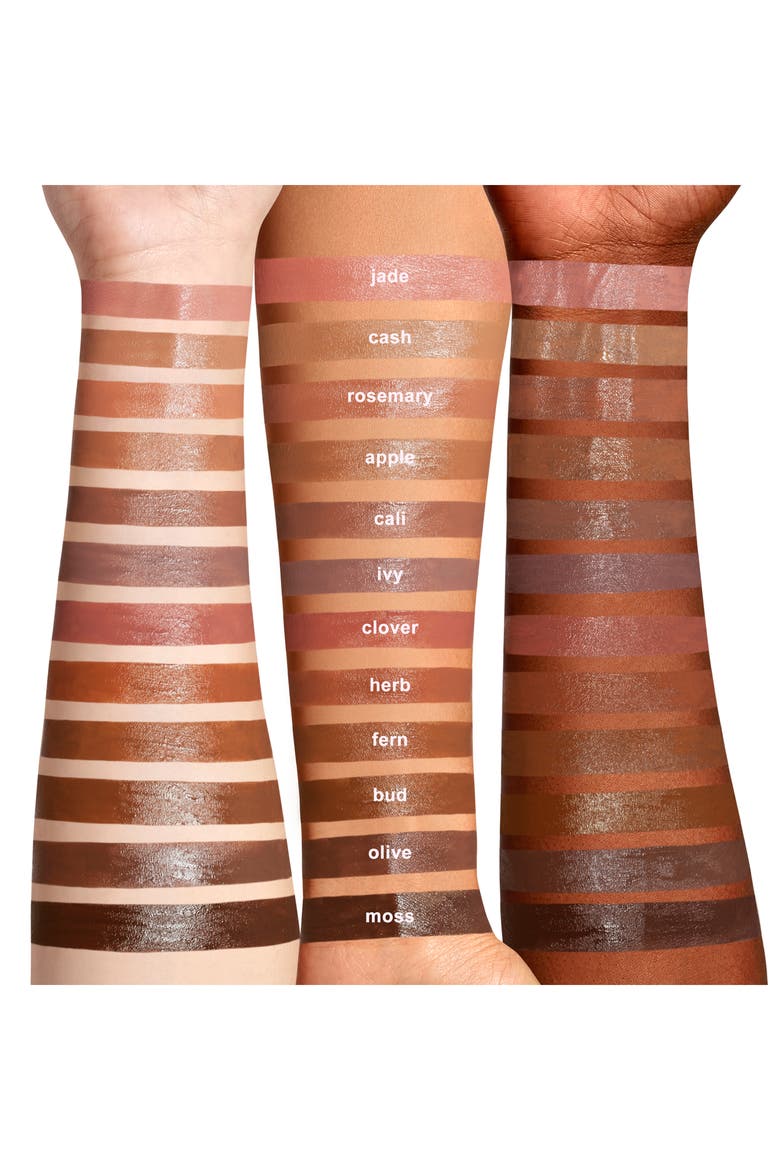 Lip Blaze Liquid Lipstick, Alternate, color, FERN