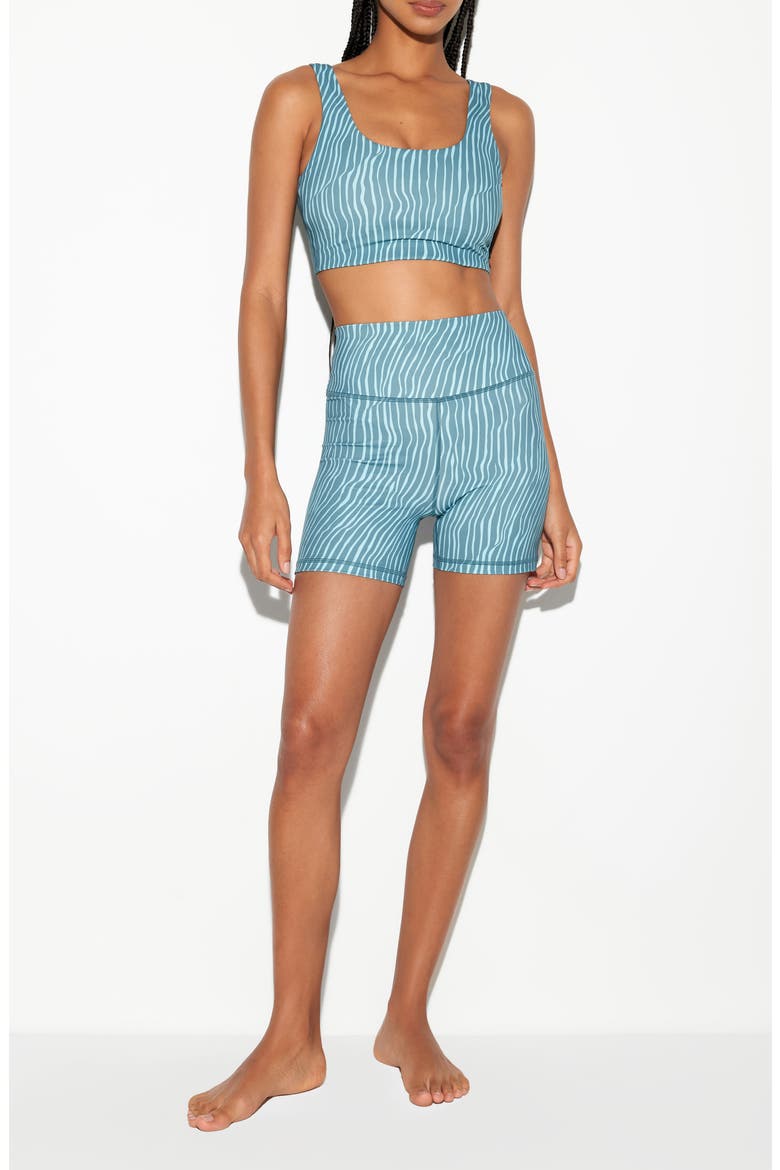 Making Waves Delmar Sports Bra, Alternate, color, CABANA BLUE