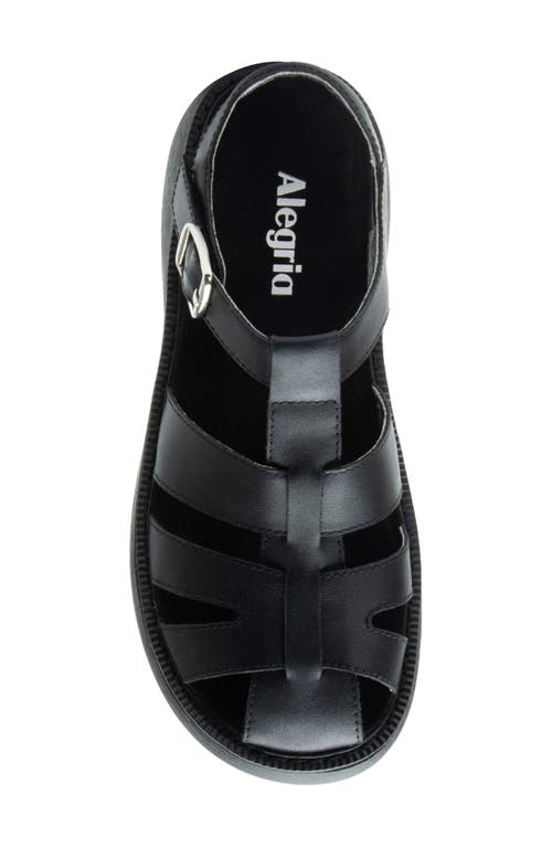 Alegria By Pg Lite Ingrid Ankle Strap Platform Fisherman Sandal In Black