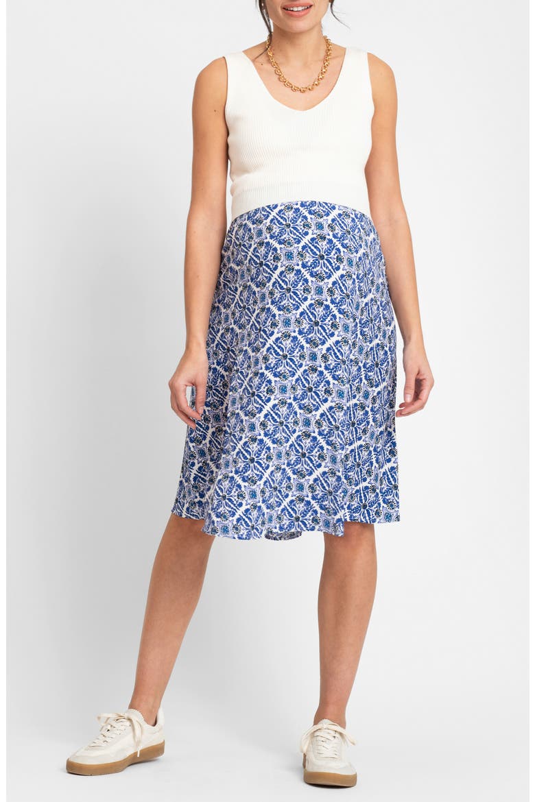 Sleeveless Maternity/Nursing Dress, Main, color, BLUE/ WHITE