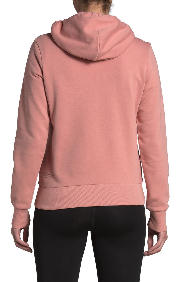 The North Face Himalayan Source Hoodie, Alternate, color, 