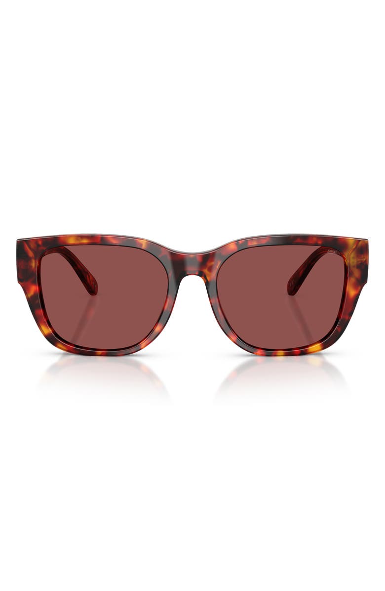DIESEL<sup>®</sup> 53mm Square Sunglasses, Main, color, Havana Brown/ Dark Violet/ Red