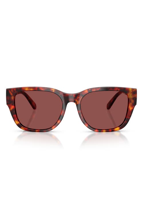 Diesel Unisex Sunglass Dl2005 In Havana Brown/dark Violet/red