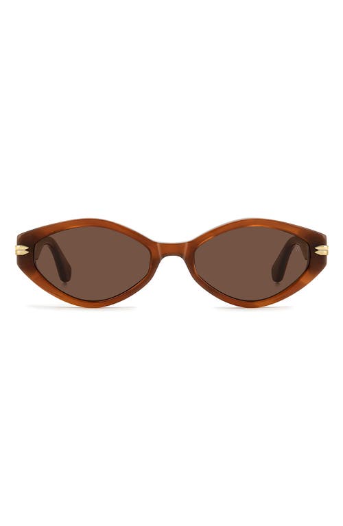 Stuart Weitzman Wzn 8029/s 54mm Oval Sunglasses In Havana Brown/brown