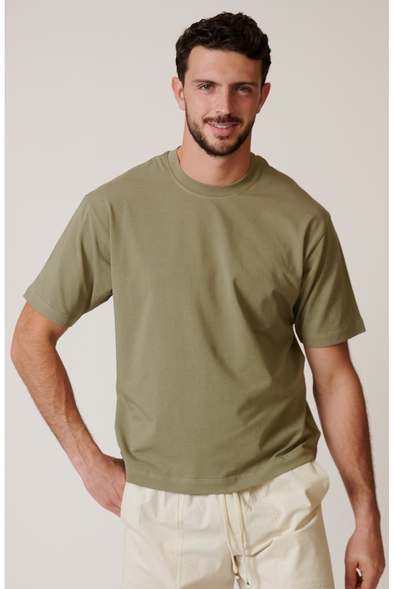 Coastal Tee, Main, color, Sage