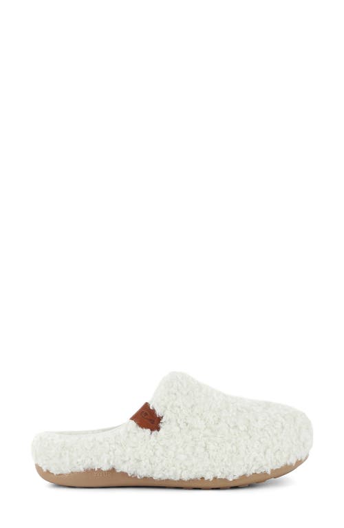 Strive Copenhagen Mule In Multi