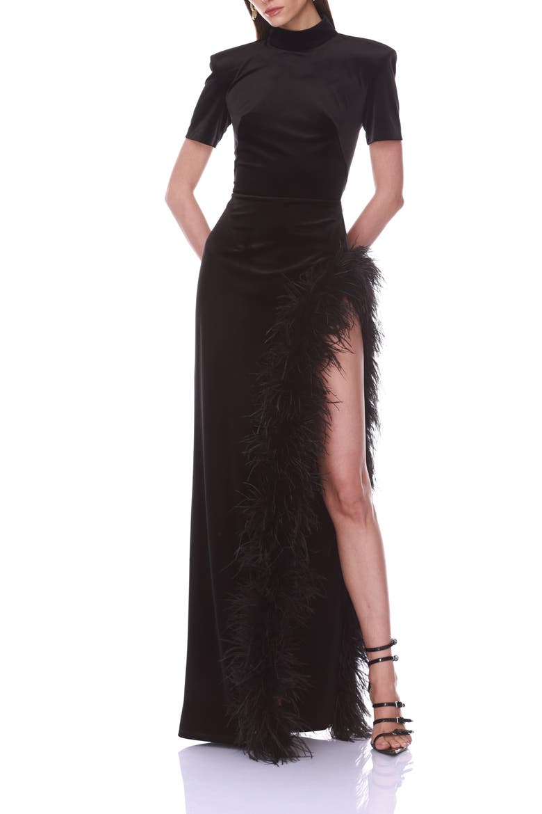 Feather Trim Velvet Maxi Dress, Alternate, color, BLACK