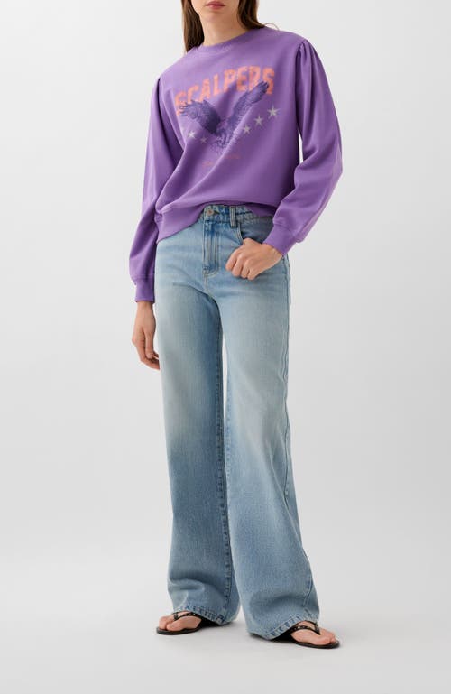 Scalpers Sceagle Sweater In Purple