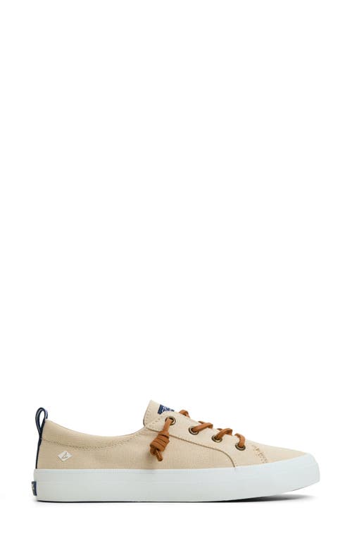 Sperry Crestvibe Slip-on Sneaker
