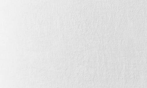 Coyuchi Relaxed Organic Linen Sham In Alpine White
