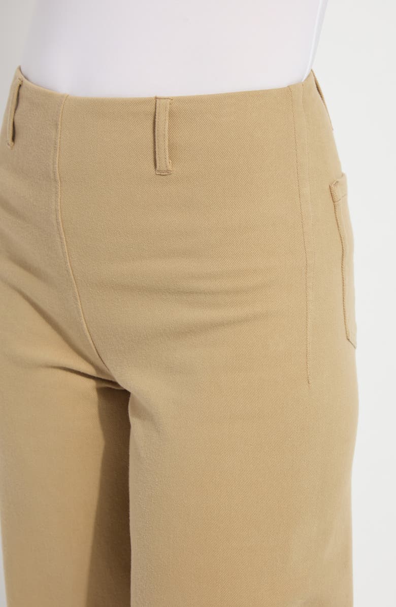 Lysse Margo High Waist Crop Jeans, Alternate, color, Raw Umber