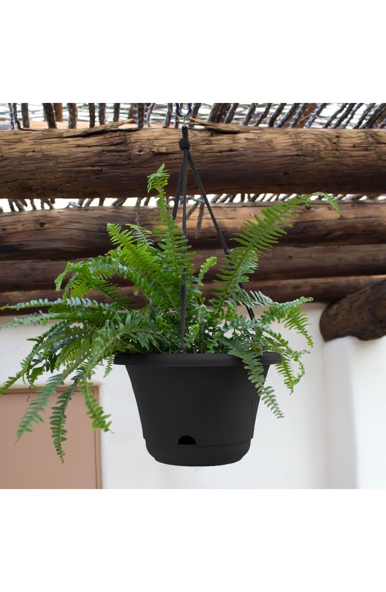 Bloem 13 Inch Lucca Self Watering Hanging Basket, Black, Alternate, color, Black
