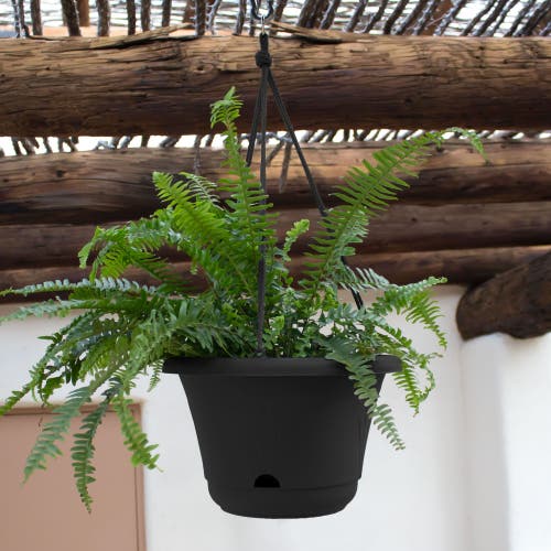 Bloem 13 Inch Lucca Self Watering Hanging Basket, Black In Black