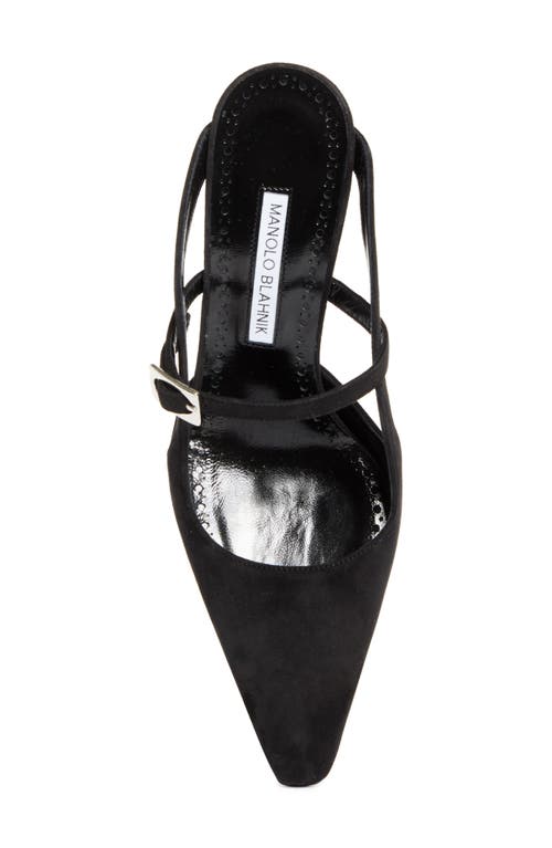 Manolo Blahnik Okos Pointed Toe Pump