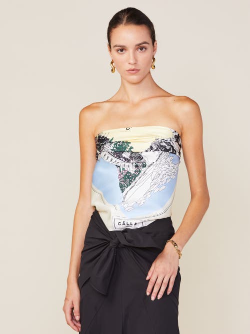 Callas Milano Como Lake Como Silk Scarf In Multi