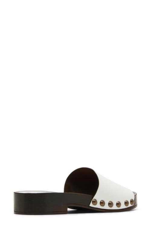 Steve Madden Cento Sandal In White
