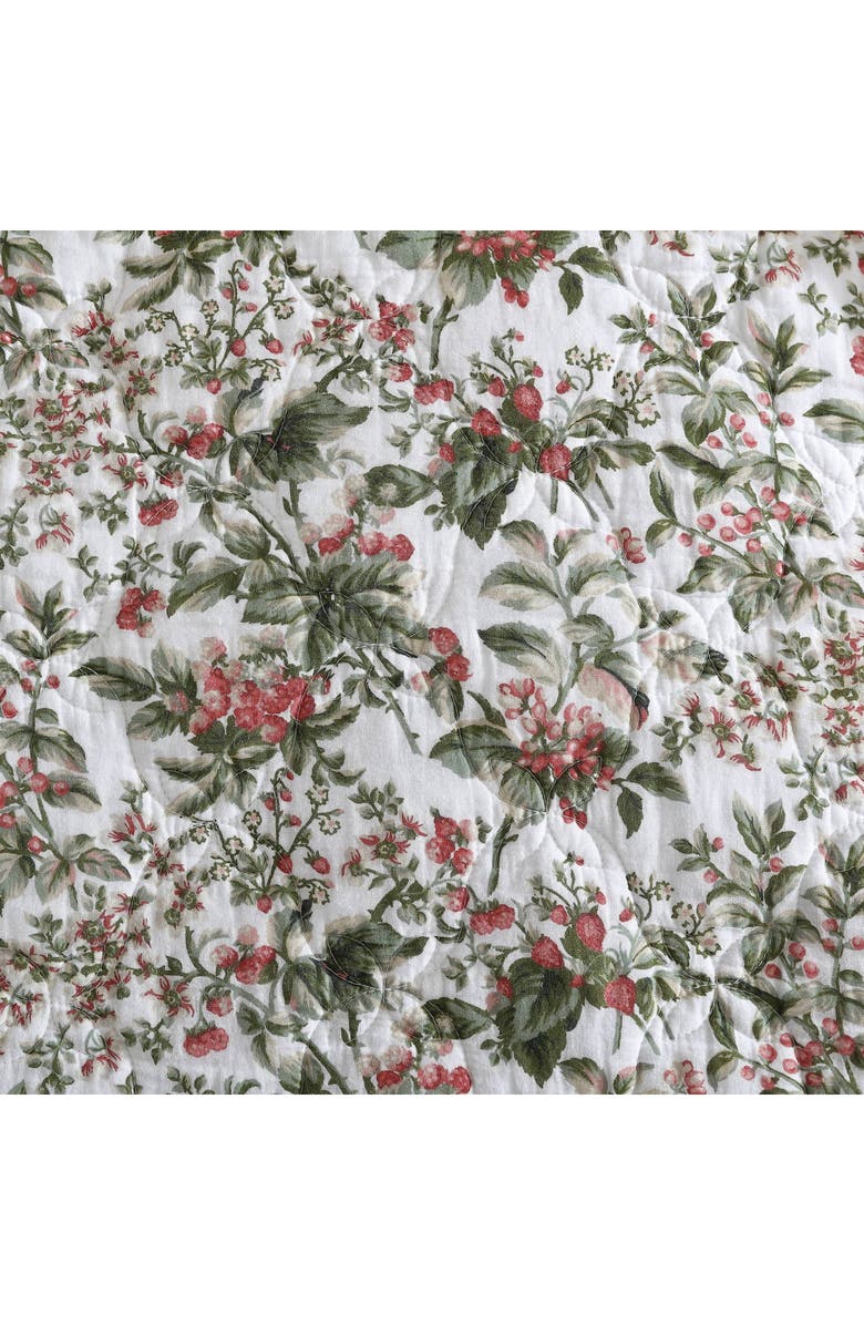 Laura Ashley Bramble Quilt & Sham Set, Alternate, color,