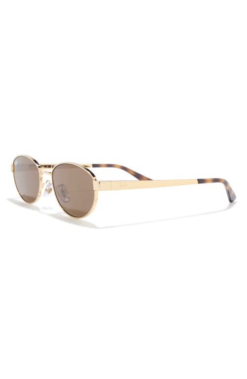 Ray Ban Ray-ban 55mm Oval Sunglasses In Neutral