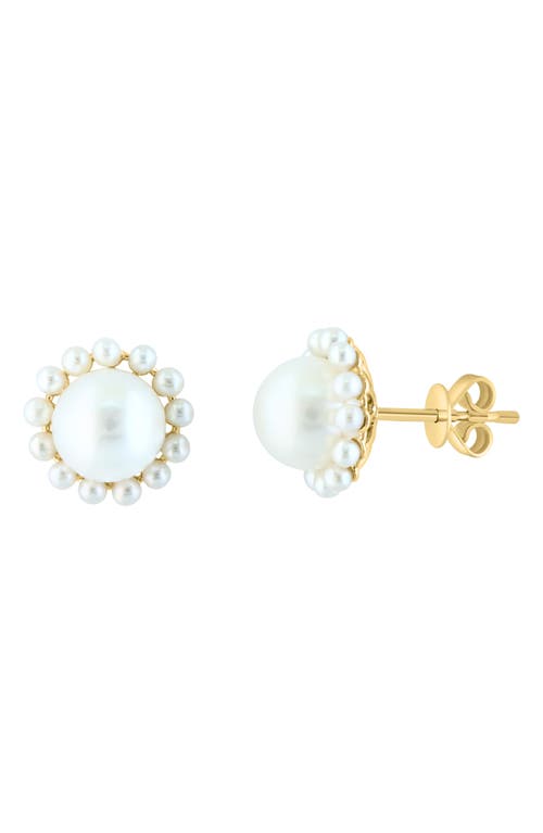 Effy 14k Yellow Gold Cultured Freshwater Pearl Halo Stud Earrings In White