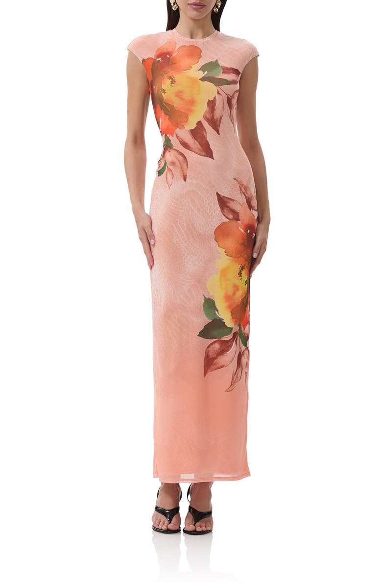 AFRM Cody Print Cap Sleeve Mesh Maxi Dress, Main, color, Snake Bloom