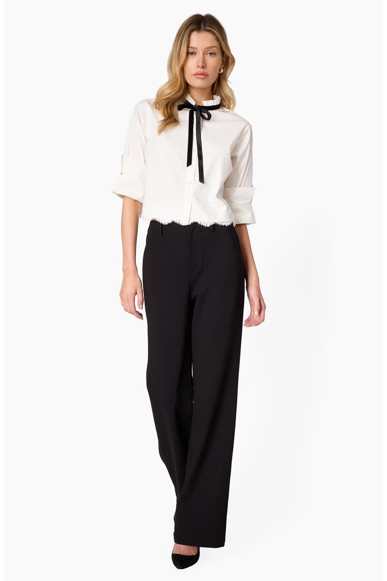 Margie High Waist Bootcut Ponte Pants, Alternate, color, BLACK