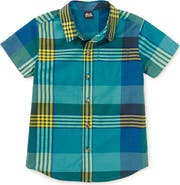 Tea Collection Plaid Button Up Woven Shirt