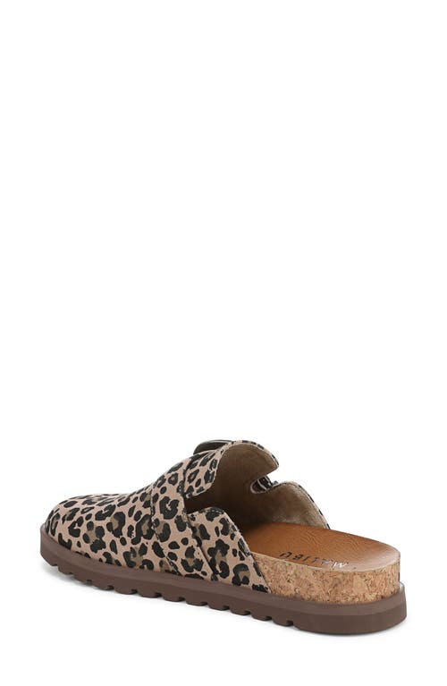 BLOWFISH MALIBU BLOWFISH MALIBU SIENNA BUCKLE CLOG