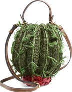 Anya Hindmarch Cactus Crochet Raffia Crossbody Bag