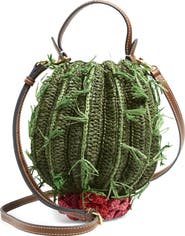 Anya Hindmarch Cactus Crochet Raffia Crossbody Bag
