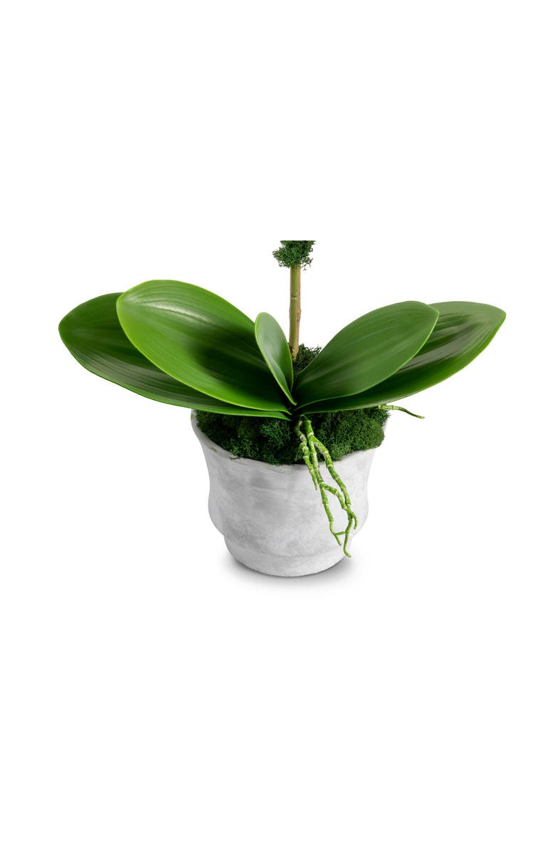 CocoBella Clementine RealTouch Orchid Arrangement, Alternate, color, Periwinkle