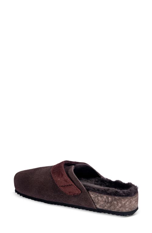 Fleks Puente Genuine Shearling Lined Clog In Brown