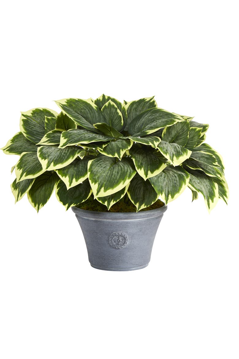 23-in Variegated Hosta Artificial Plant in Gray Planter, Main, color, Green
